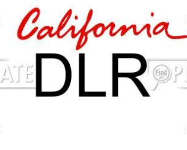 Deciphering License Plate Lingo: What Does “DLR” Mean?